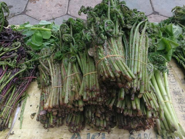 吉林，雪域之美与历史的交响之旅