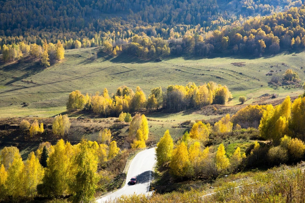 新疆,友情与家的温暖甜蜜日常