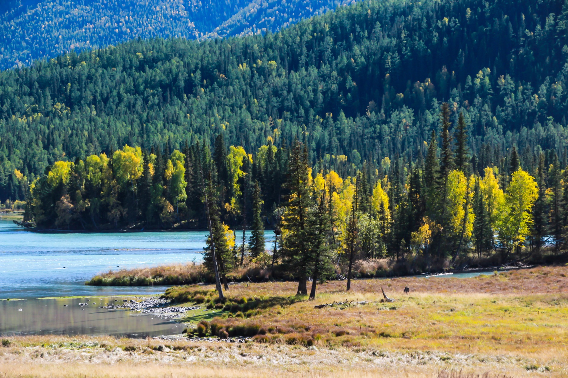 新疆,友情与家的温暖甜蜜日常