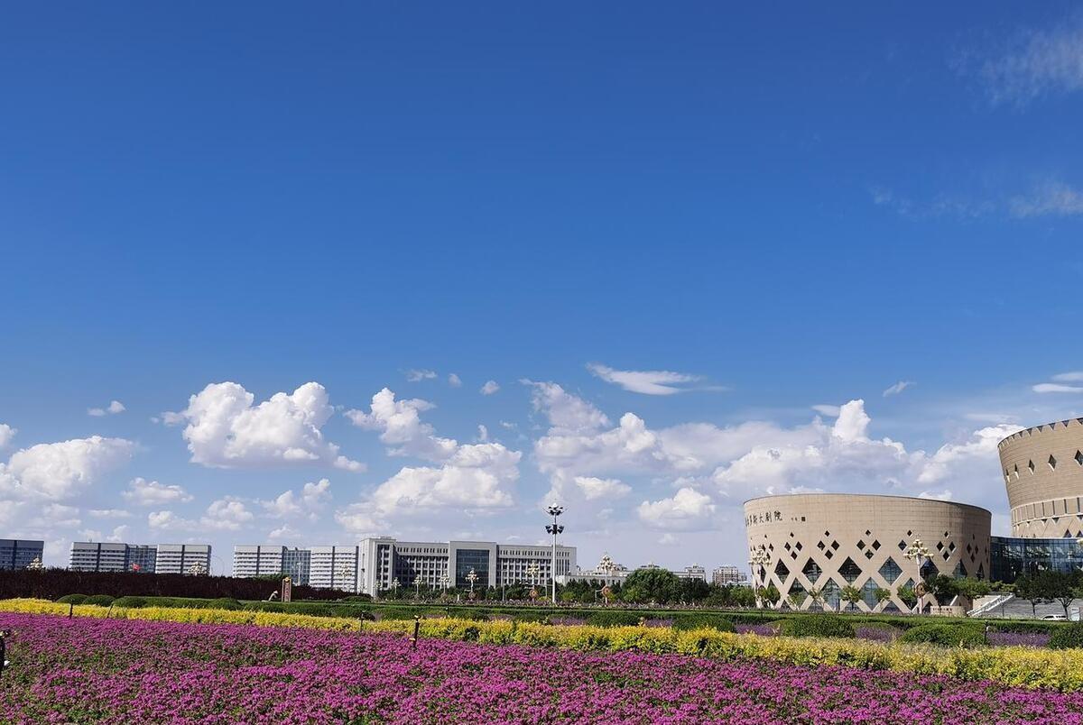 鄂尔多斯盛会,嘉宾云集,观众热情如火