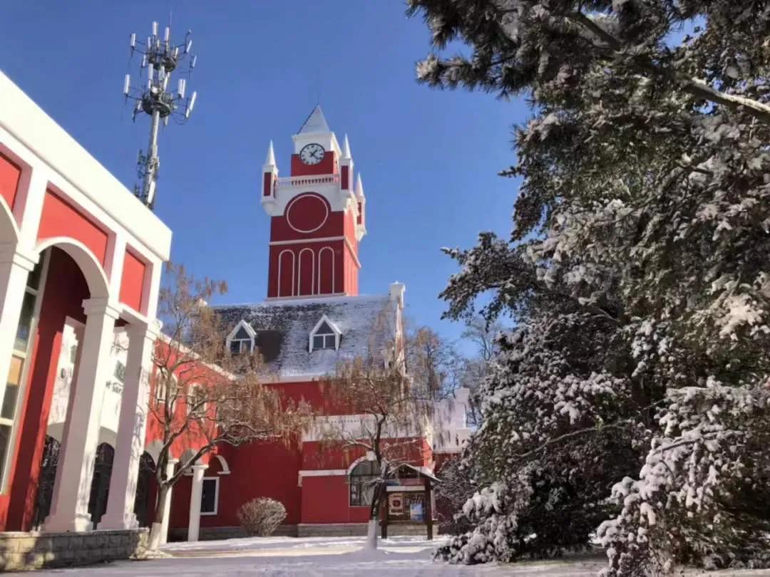 沈阳之行,历史与现代的交融体验之旅